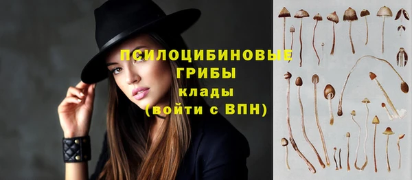 МДПВ Абаза