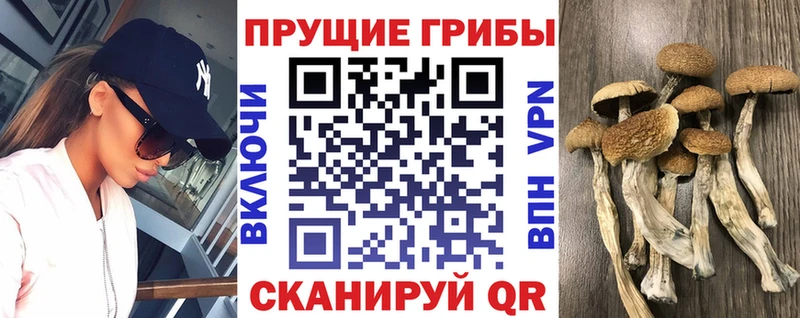 Псилоцибиновые грибы MAGIC MUSHROOMS  Аксай 